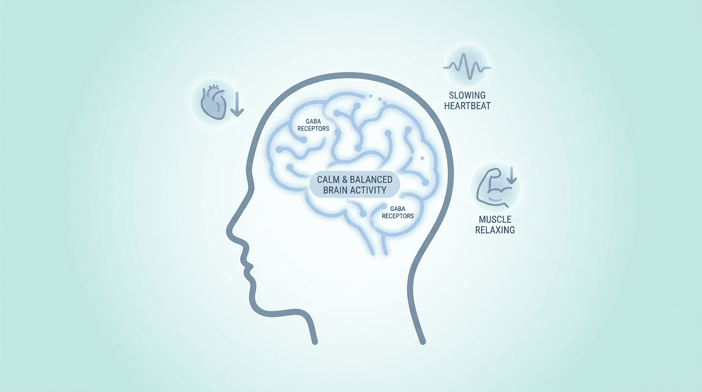 Diagram showing how Diazepam 5mg calms the nervous system to relieve anxiety and muscle tension.